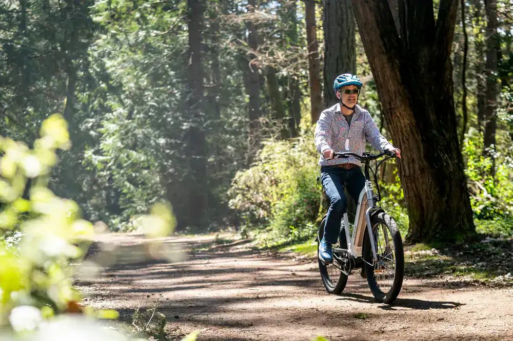 Cyclist riding a premium e-bike along a sunlit country road