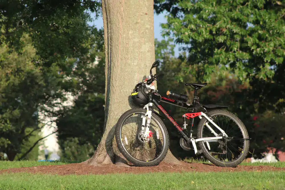 Bicycle parked on a scenic path with riding gear